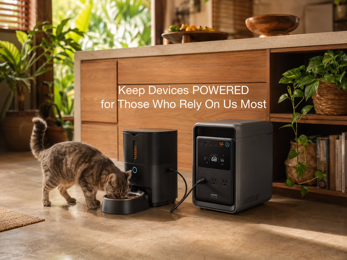 Keeps the little things running, like an automatic feeder.